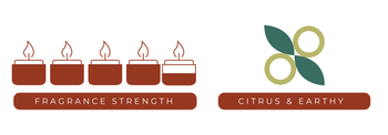 amalfi coast fragrance strength chart