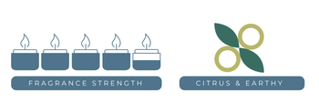 crushed lime and sea salt fragrance strength chart