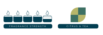 shanghai green chai fragrance strength chart